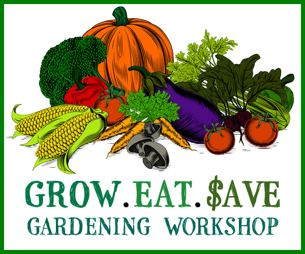 Department of Health - gardening workshop Department of Health - gardening workshop
