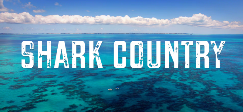 Shark Country 